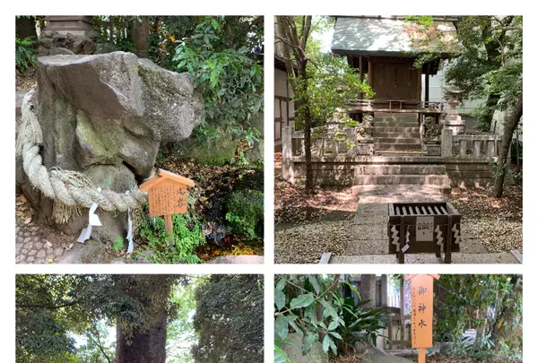 川越氷川神社の写真・動画_image_915958