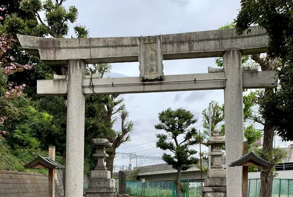 赤羽八幡神社の写真・動画_image_915967