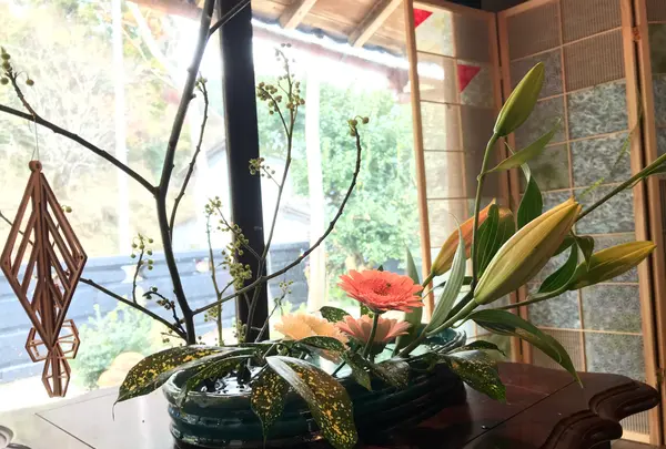 発酵カフェ小春日和の写真・動画_image_916050