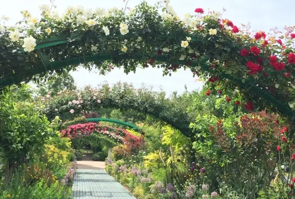 浜名湖ガーデンパーク