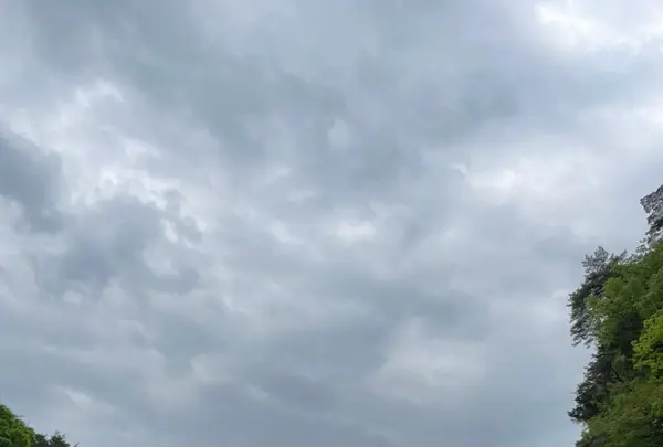 鬼怒楯岩大吊橋の写真・動画_image_918681