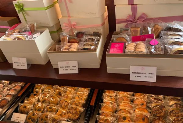 ラ･ローズ･ジャポネの写真・動画_image_921131