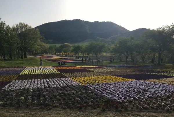 薬莱山の写真・動画_image_925968