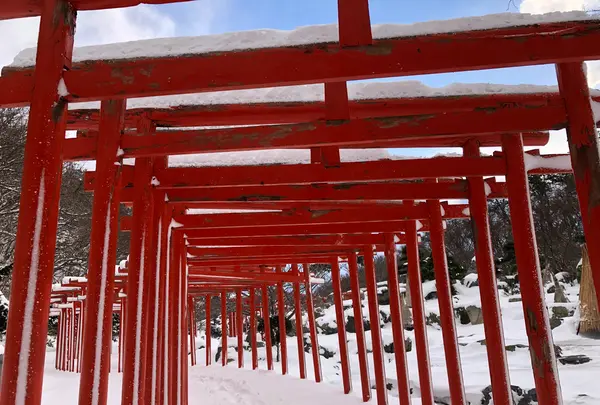 高山稲荷神社の写真・動画_image_926655