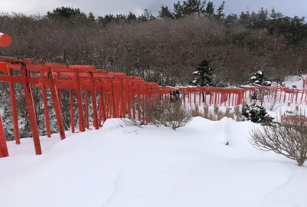 高山稲荷神社の写真・動画_image_926656