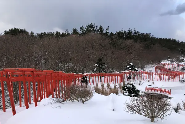 高山稲荷神社の写真・動画_image_926657