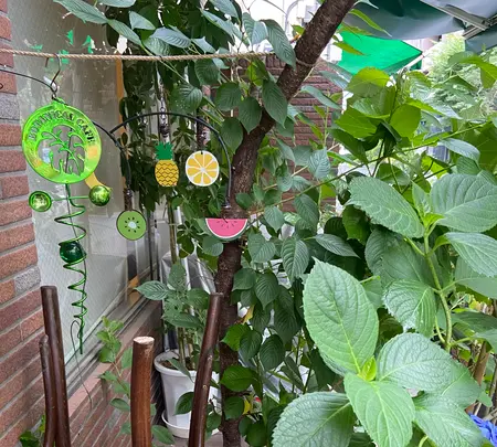 フルーフ・デゥ・セゾンの写真・動画_image_927137