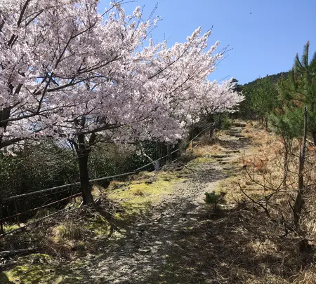 石津御嶽登山口駐車場の写真・動画_image_928818