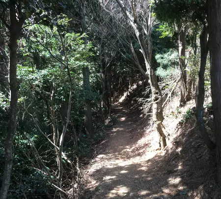 石津御嶽登山口駐車場の写真・動画_image_928823