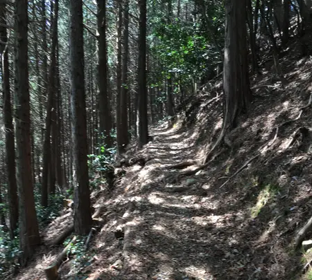 石津御嶽登山口駐車場の写真・動画_image_928824