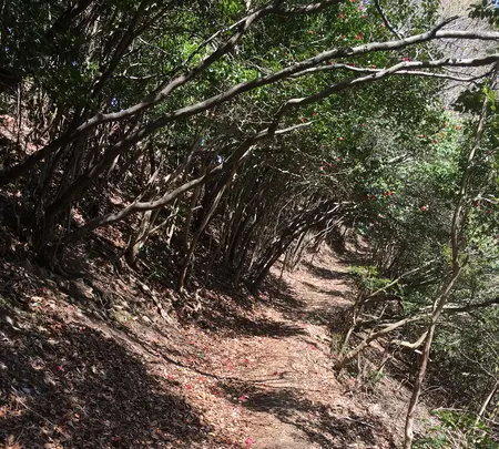 石津御嶽登山口駐車場の写真・動画_image_928825