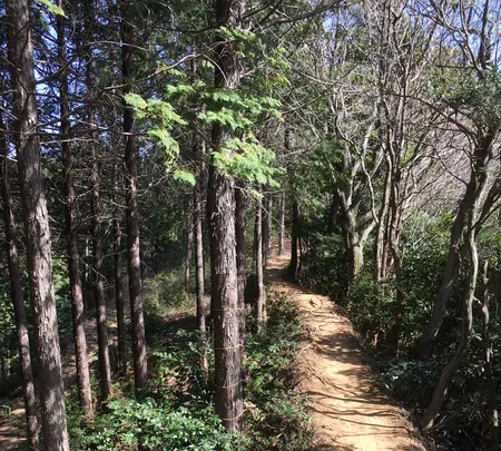 石津御嶽登山口駐車場の写真・動画_image_928828