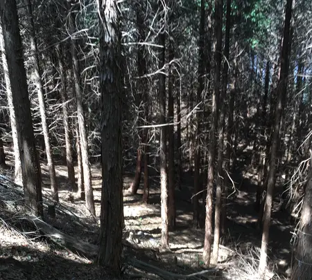 石津御嶽登山口駐車場の写真・動画_image_928829