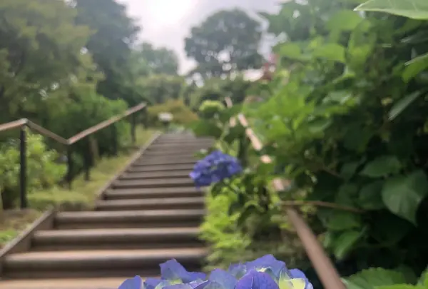 保和苑の写真・動画_image_932855