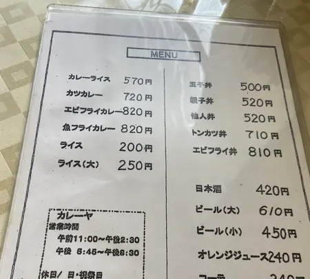 カレーヤの写真・動画_image_934978