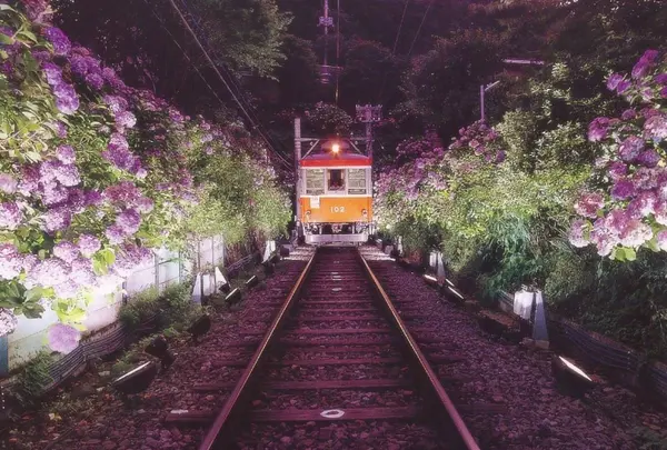 箱根登山鉄道沿線