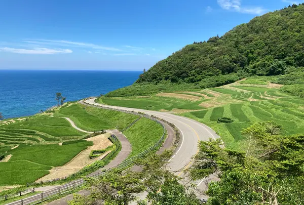 千枚田珈琲の写真・動画_image_946292