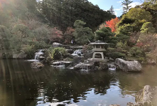 成田（成田山表参道）の写真・動画_image_947282