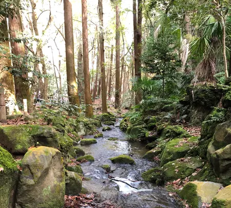 成田（成田山表参道）の写真・動画_image_947284