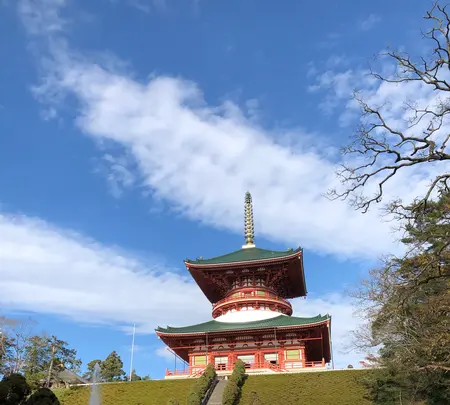 成田（成田山表参道）の写真・動画_image_947285