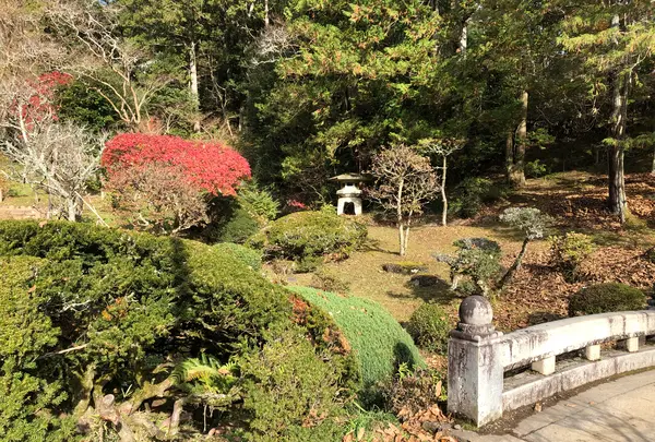 成田（成田山表参道）の写真・動画_image_947286
