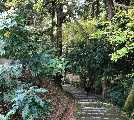 成田（成田山表参道）の写真・動画_image_947287