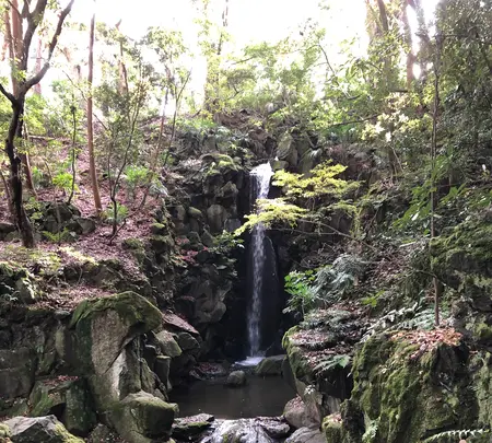 成田（成田山表参道）の写真・動画_image_947288