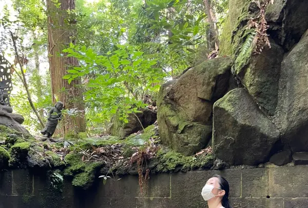 成田（成田山表参道）の写真・動画_image_947308