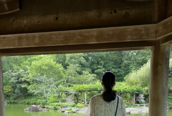 成田（成田山表参道）の写真・動画_image_947309
