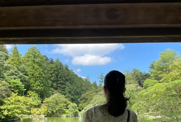 成田（成田山表参道）の写真・動画_image_947310
