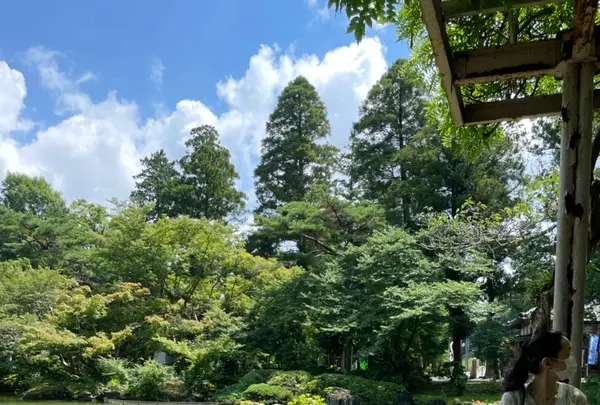 成田（成田山表参道）の写真・動画_image_947311