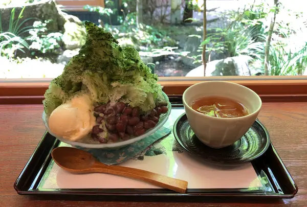 成田（成田山表参道）の写真・動画_image_947316