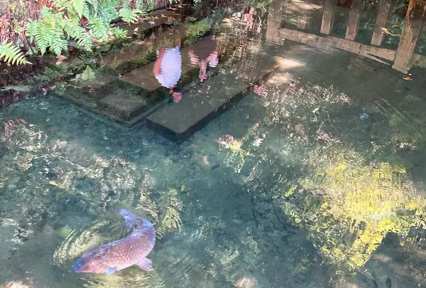 鹿島神宮の写真・動画_image_949299