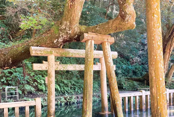 鹿島神宮の写真・動画_image_949300