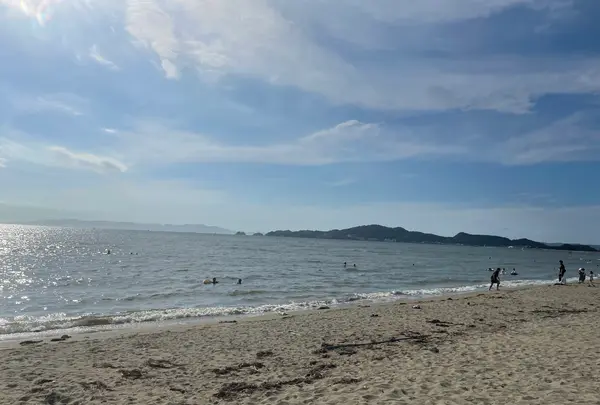 浜の宮ビーチの写真・動画_image_951546