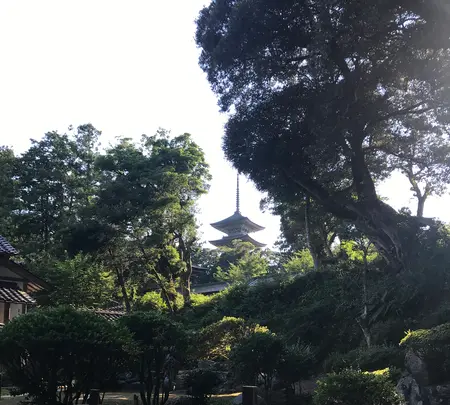 妙成寺の写真・動画_image_951571