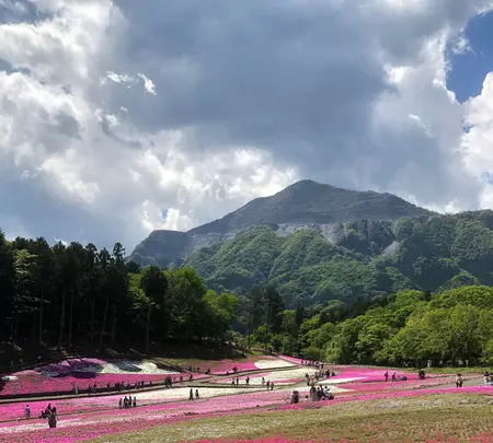 羊山公園の写真・動画_image_959081