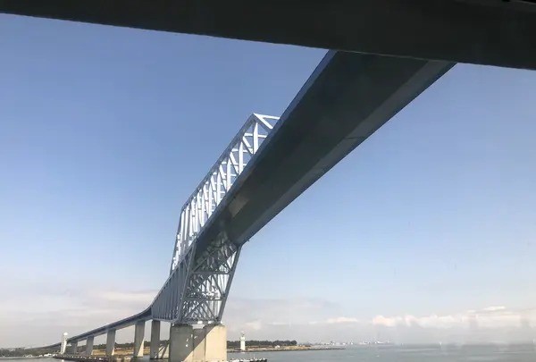 東京湾クルージングの写真・動画_image_959198
