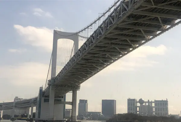 東京湾クルージングの写真・動画_image_959199