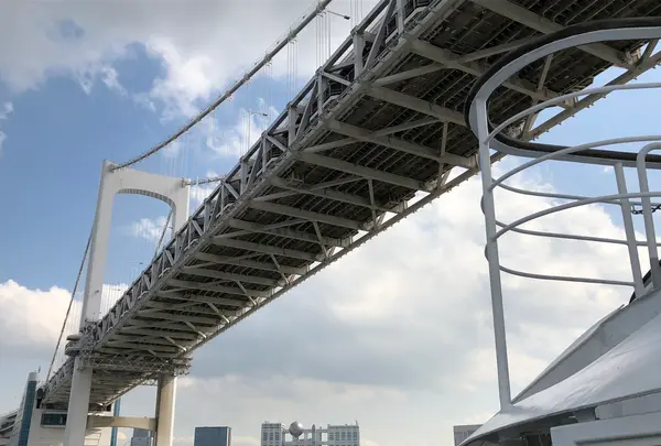 東京湾クルージングの写真・動画_image_959202