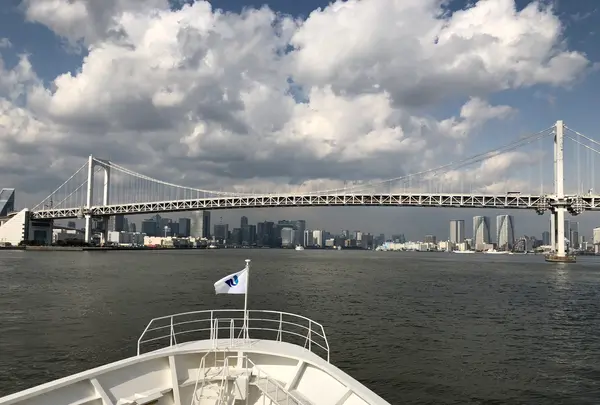 東京湾クルージングの写真・動画_image_959205