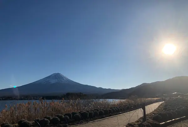 河口湖の写真・動画_image_959211