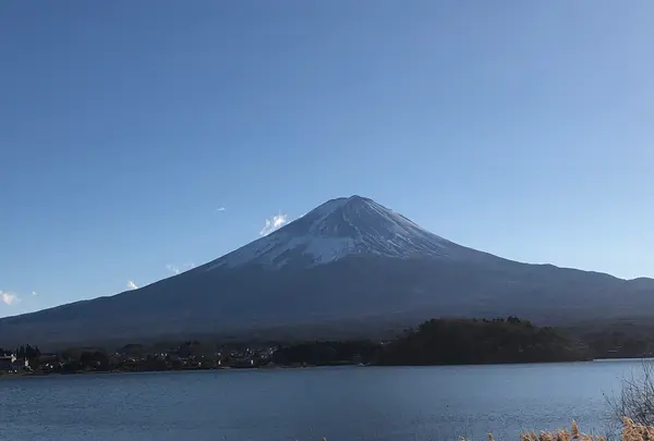河口湖の写真・動画_image_959212
