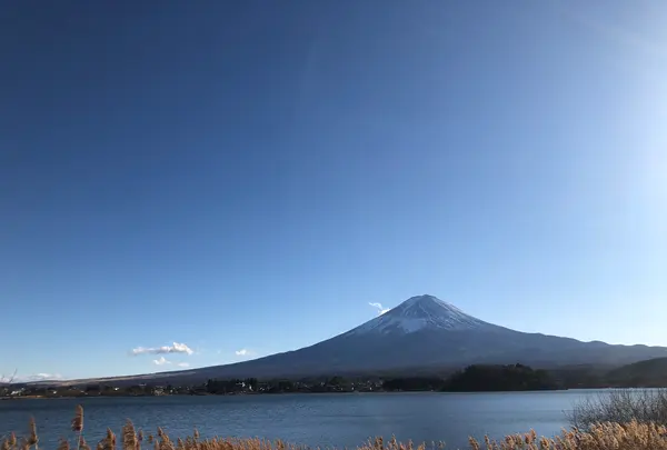 河口湖の写真・動画_image_959214