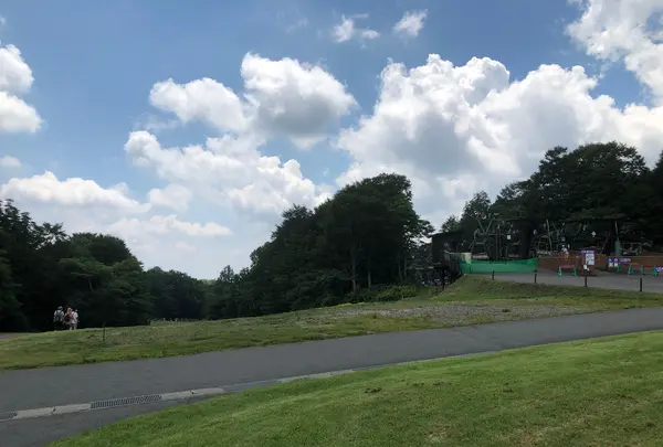 たんばらラベンダーパークの写真・動画_image_959582
