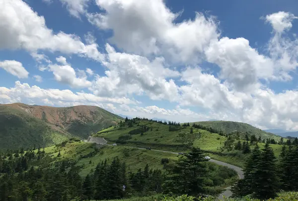 草津白根山の写真・動画_image_959639