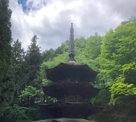 安楽寺の写真・動画_image_959644