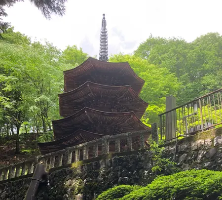 安楽寺の写真・動画_image_959646