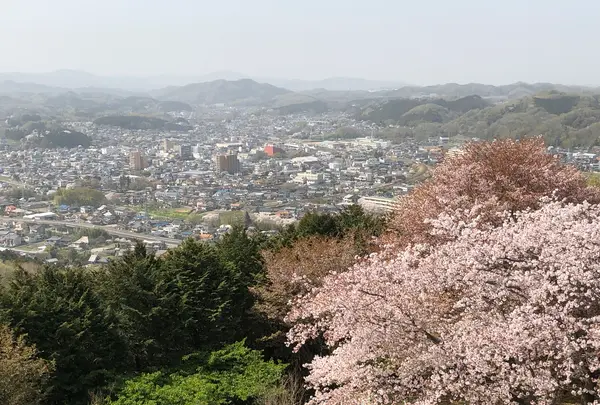 仙元山の写真・動画_image_959668