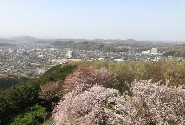 仙元山の写真・動画_image_959670